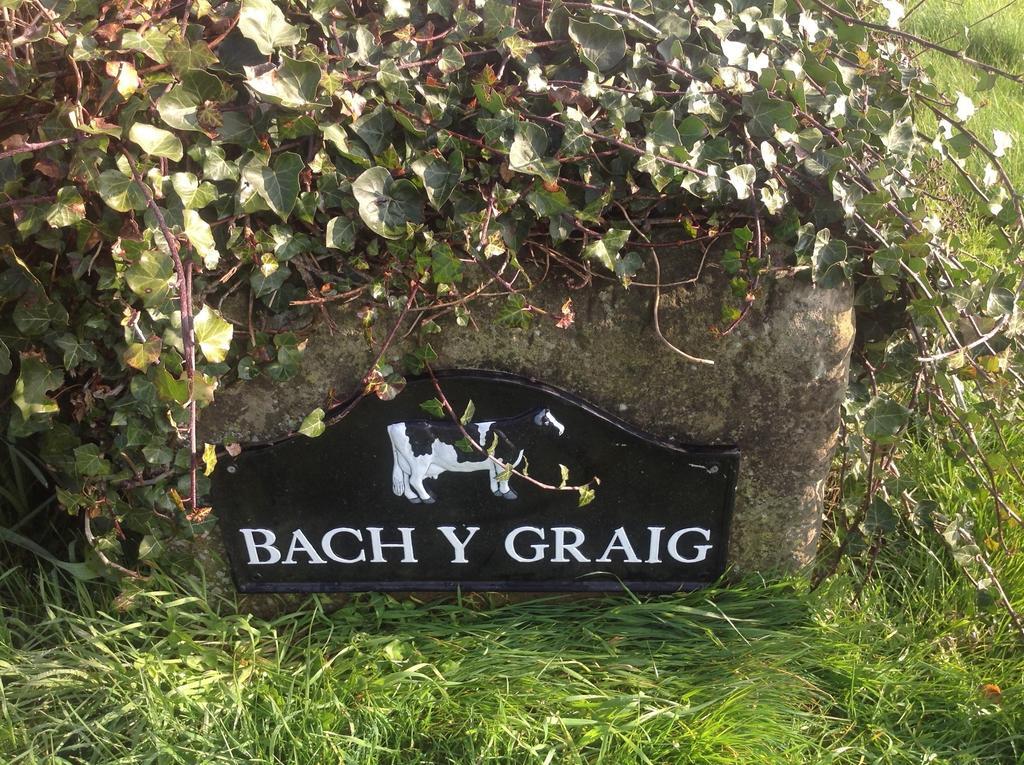 Bach Y Graig Hotel St Asaph Exterior foto