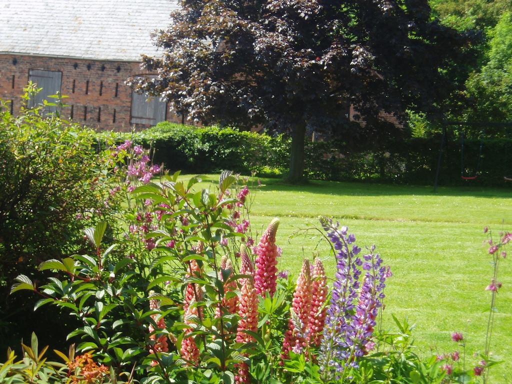 Bach Y Graig Hotel St Asaph Quarto foto